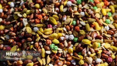 آجیل شب یلدا؛ از تنوع تا قیمت